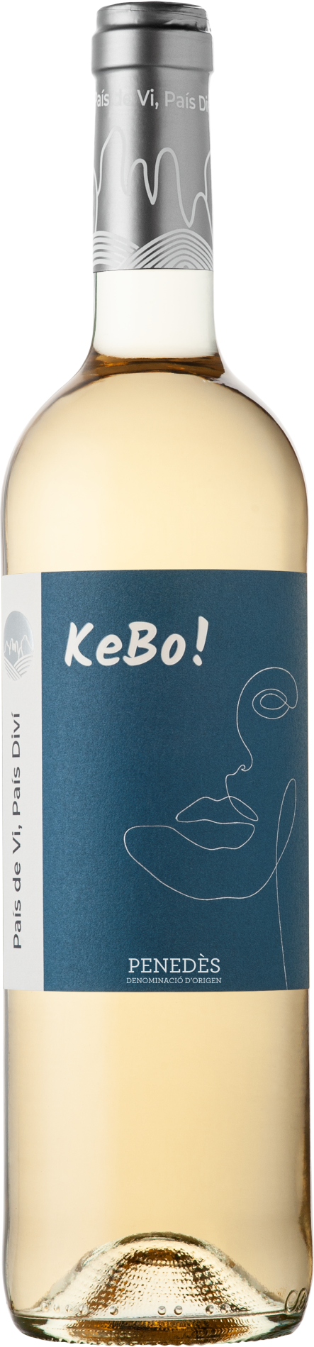 kebo_blanc_amp