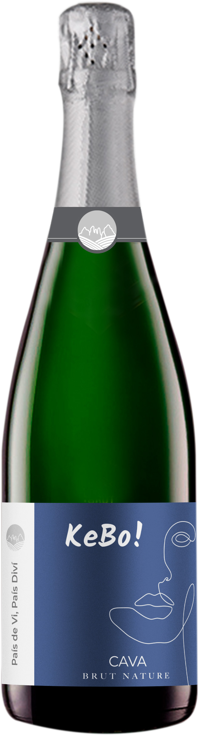 kebo_brut__amp