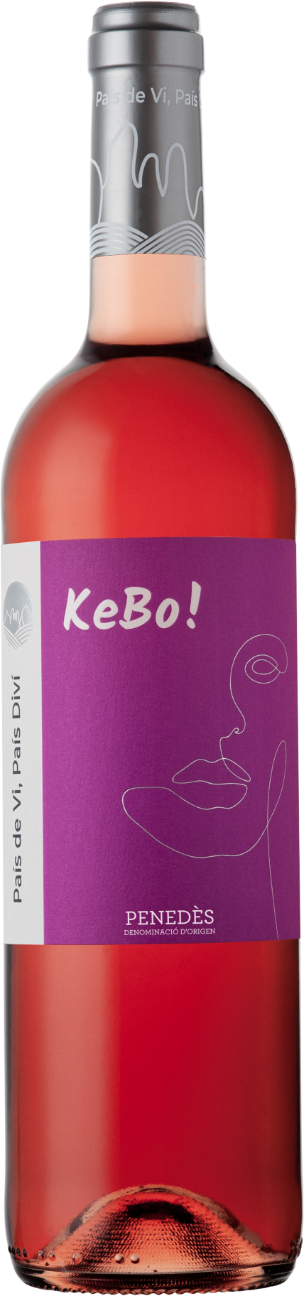 kebo_rosat_amp